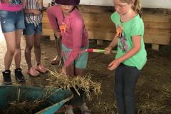 IMG-20190619-WA0007