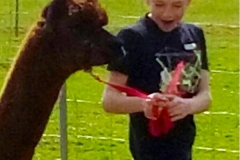 2018alpaka03