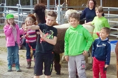 2018alpaka04