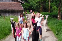 2018alpaka05