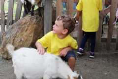 IMG-20200828-WA0140