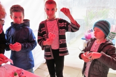 familienfruehstueck13