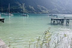 IMG_8768