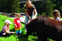 Lindlingalm