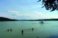 DSCF0241
