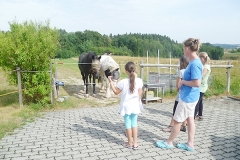 naturerlebnistagmitpferd04