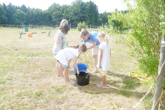 naturerlebnistagmitpferd06