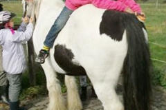 naturerlebnistagmitpferd09
