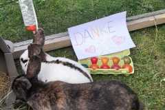 IMG-20200409-WA0006