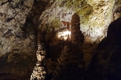 postojna201417