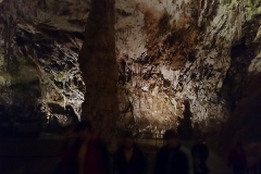 postojna201419