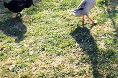 IMG-20190124-WA0008