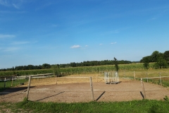 IMG-20190124-WA0009