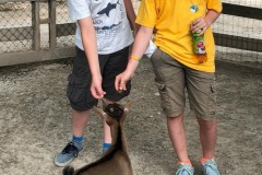IMG-20190615-WA0009