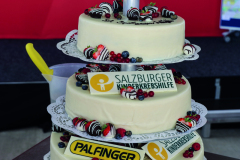 Palfinger Sportwagenausfahrt zu Gunsten der Kinderkrebshilfe
in Bergheim bei Salzburg
Foto: Franz Neumayr     29.6.2024