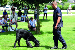 Palfinger Sportwagenausfahrt zu Gunsten der Kinderkrebshilfe
in Bergheim bei Salzburg
Foto: Franz Neumayr     29.6.2024