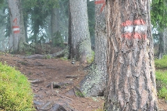2014reiteralm05
