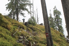 2014reiteralm06