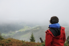 2014reiteralm09