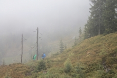 2014reiteralm12