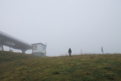 2014reiteralm17