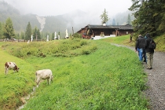 2014reiteralm28
