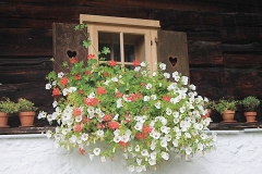 2014reiteralm30