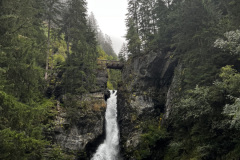 IMG-6797-002